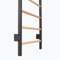 Драбинка гімнастична RINAGYM Steel 1 graphit 3