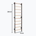 Драбинка гімнастична RINAGYM Steel 1 graphit 9