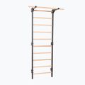 Драбинка гімнастична RINAGYM Steel Pure graphit 2