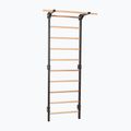 Драбинка гімнастична RINAGYM Steel Pure graphit 3