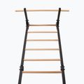 Драбинка гімнастична RINAGYM Steel Pure graphit 4