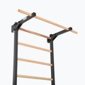 Драбинка гімнастична RINAGYM Steel Pure graphit 5