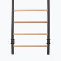Драбинка гімнастична RINAGYM Steel Pure graphit 8