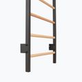 Драбинка гімнастична RINAGYM Steel Pure graphit 9