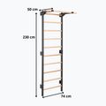 Драбинка гімнастична RINAGYM Steel Pure graphit 12
