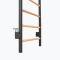 Драбинка гімнастична RINAGYM Steel Pure graphit 13