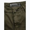 Шорти чоловічі Pitbull Cargo Carver olive 3