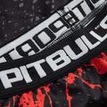 Легінси чоловічі Pitbull West Coast Compr Pants Blood Dog black 3