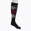 Гольфи для верхової їзди Comodo SPJW/02 multicolour