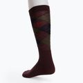 Гольфи для верхової їзди Comodo SJPW/04 multicolour 2