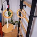 Набір дитячих гімнастичних аксесуарів BenchK коричневий A/076 5