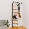 Турнік BenchK Pull Up Bar PB 310B чорний BK-310B 6