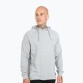 Кофта з капюшоном чоловіча Pitbull West Coast Small Logo сіра 251000150003