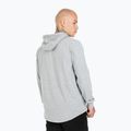 Кофта з капюшоном чоловіча Pitbull West Coast Small Logo сіра 251000150003 3