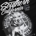 Топ жіночий Pitbull West Coast So Cal 18 чорний 221008900002 3