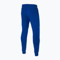 Штани чоловічі Pitbull West Coast Durango Jogging 210 royal blue 2