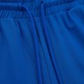 Штани чоловічі Pitbull West Coast Durango Jogging 210 royal blue 3