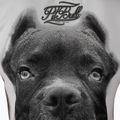 Футболка жіноча Pitbull West Coast Ir white 3
