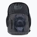 Рюкзак чоловічий Pitbull West Coast Pitbull Ir 28 l black/grey