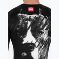 Чоловічий лонгслів пітбуль Rashguard Street Dog чорний 5