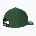 Кепка Pitbull Snapback ,,Logo" Hybrid green 2