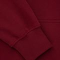 Кофта чоловіча Pitbull West Coast Everts Hooded burgundy 5