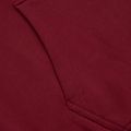 Кофта чоловіча Pitbull West Coast Everts Hooded burgundy 6