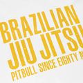 Футболка чоловіча Pitbull West Coast BJJ Champions white 3