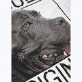 Біла чоловіча футболка Pitbull West Coast Origin 7