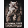 Чоловіча футболка Pitbull West Coast Mugshot 2 чорна 8