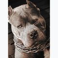 Чоловіча футболка Pitbull West Coast Mugshot 2 чорна 9