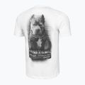 Чоловіча футболка Pitbull West Coast Mugshot 2 біла 5
