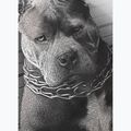 Чоловіча футболка Pitbull West Coast Mugshot 2 біла 9