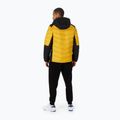Куртка зимова чоловіча Pitbull West Coast Evergold Hooded Padded yellow/black 3