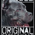 Чоловічий світшот Pitbull West Coast Origin з капюшоном 7