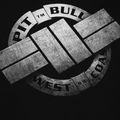 Чоловічий світшот Pitbull West Coast Steel Logo Crewneck Crewneck чорний 6