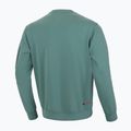 Кофта чоловіча Pitbull West Coast Explorer Crewneck mint 5