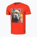 Футболка чоловіча Pitbull Fuji red 4