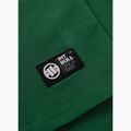 Футболка чоловіча Pitbull Scratch leaf green 7