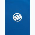 Футболка поло чоловіча Pitbull Polo Pique Stripes Regular royal blue 8