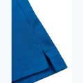 Футболка поло чоловіча Pitbull Polo Pique Stripes Regular royal blue 9