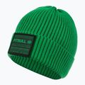 Шапка зимова чоловіча Pitbull Beanie Dock green