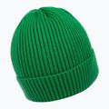 Шапка зимова чоловіча Pitbull Beanie Dock green 2