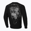 Кофта чоловіча Pitbull West Coast Crewneck Born In 1989 black 2