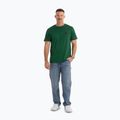 Футболка чоловіча Pitbull Small Logo leaf green 2