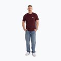 Футболка чоловіча Pitbull Small Logo dark burgundy 2