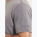 Футболка чоловіча Pitbull Oceanside grey 5