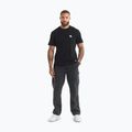 Футболка чоловіча Pitbull Small Logo black 2