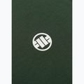 Футболка чоловіча Pitbull Small Logo green 10