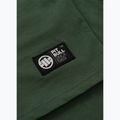 Футболка чоловіча Pitbull Small Logo green 12